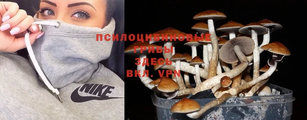 амф Абдулино